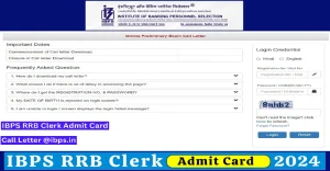 IBPS RRB Clerk Prelims Admit Card 2024